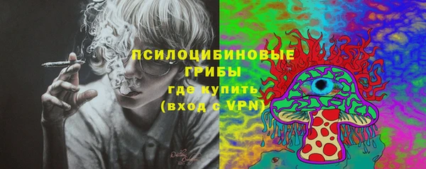 меф Белокуриха