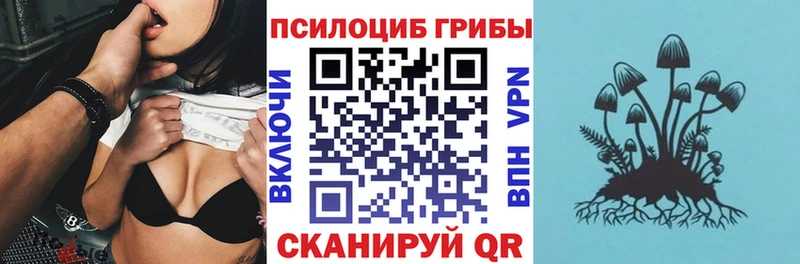 Псилоцибиновые грибы Cubensis  Обь 